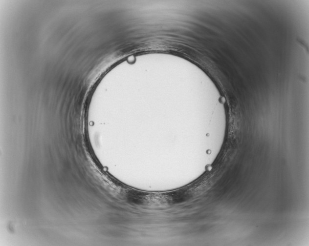 X0000103940795200810031321