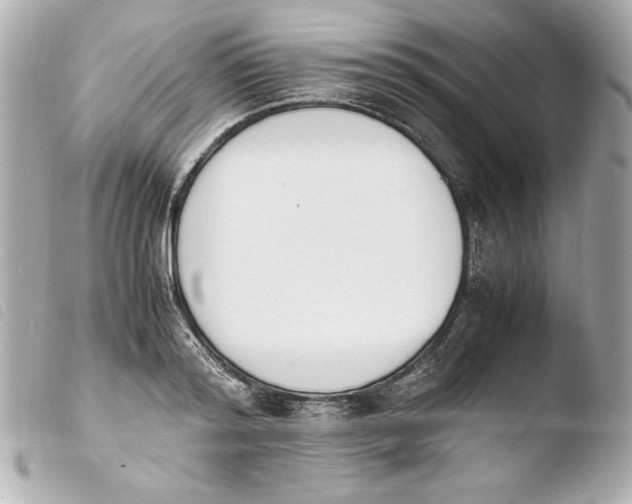 X0000103940796200810031321