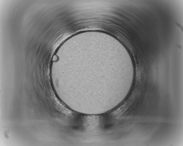 X0000103940797200810031321