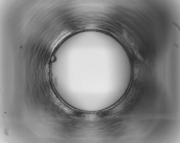 X0000103940798200810031321