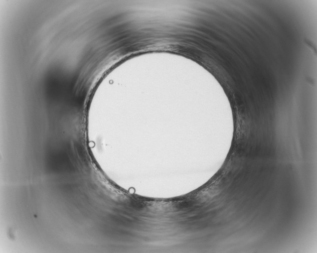 X0000103940800200810031321