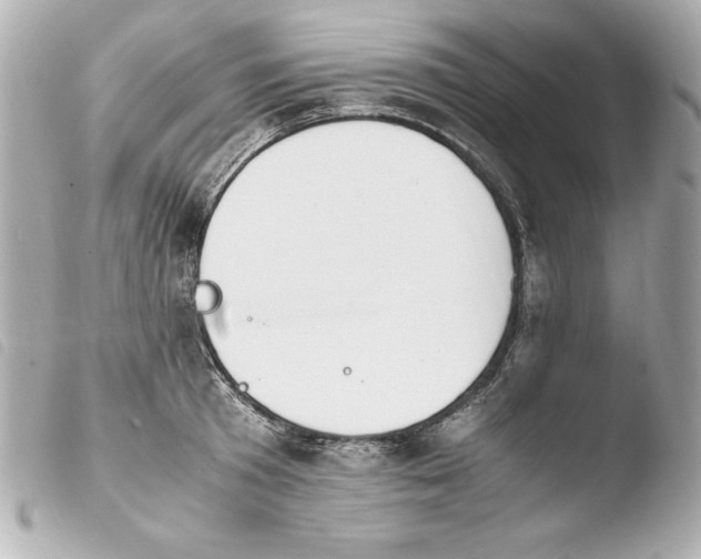 X0000103940801200810031321