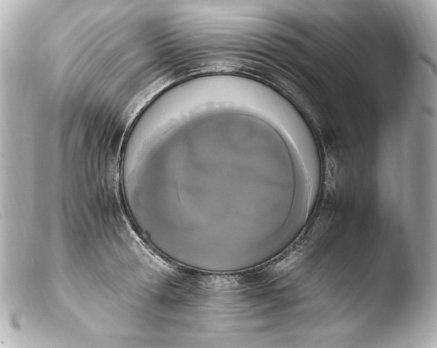 X0000103940802200810031321