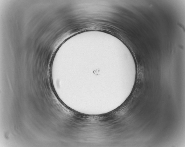 X0000103940803200810031321