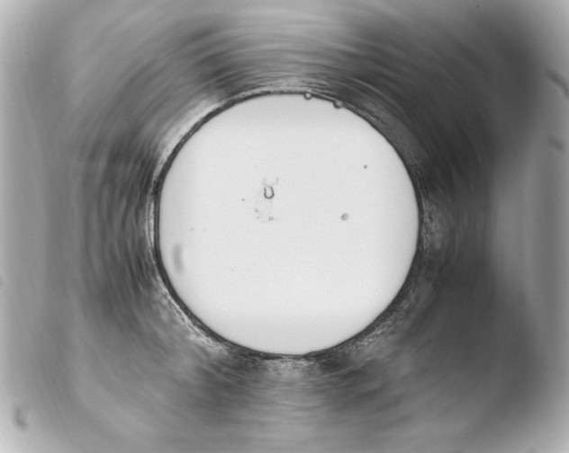 X0000103940804200810031321