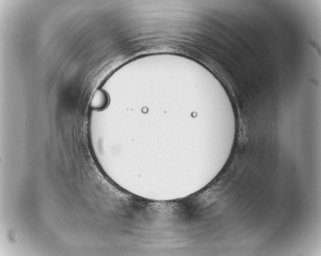 X0000103940805200810031321