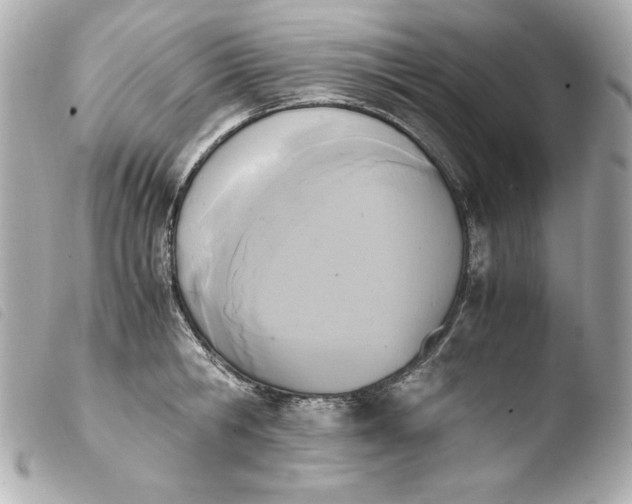 X0000103940806200810031321