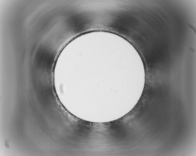 X0000103940807200810031321