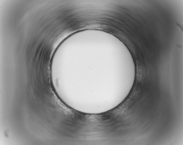 X0000103940808200810031321