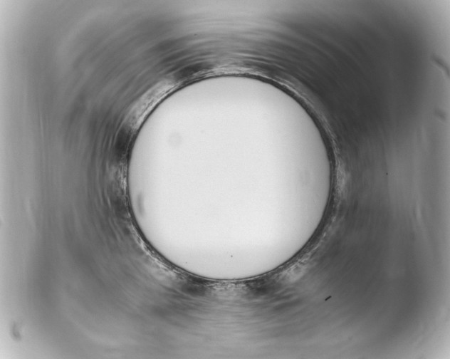 X0000103940809200810031321