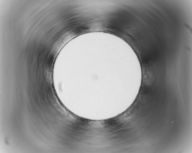 X0000103940810200810031321