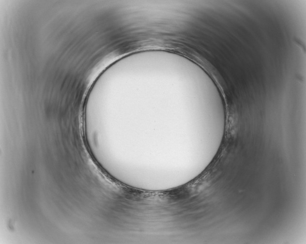 X0000103940811200810031321