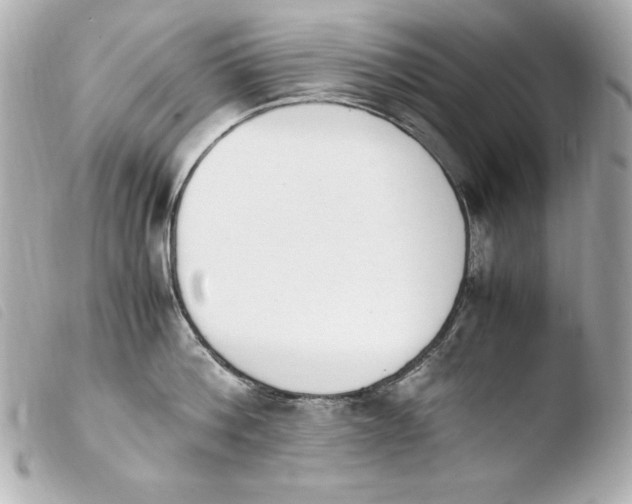 X0000103940812200810031321