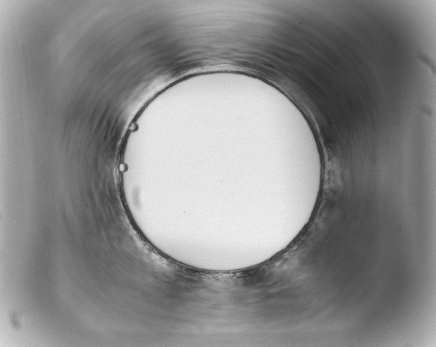 X0000103940813200810031320