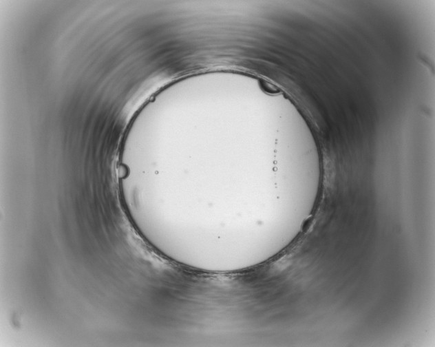 X0000103940814200810031320