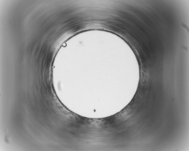 X0000103940815200810031320