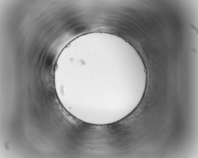 X0000103940816200810031320