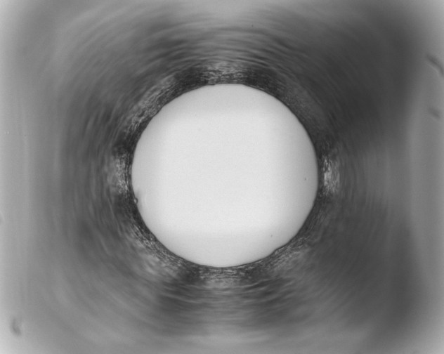 X0000103940819200810031320