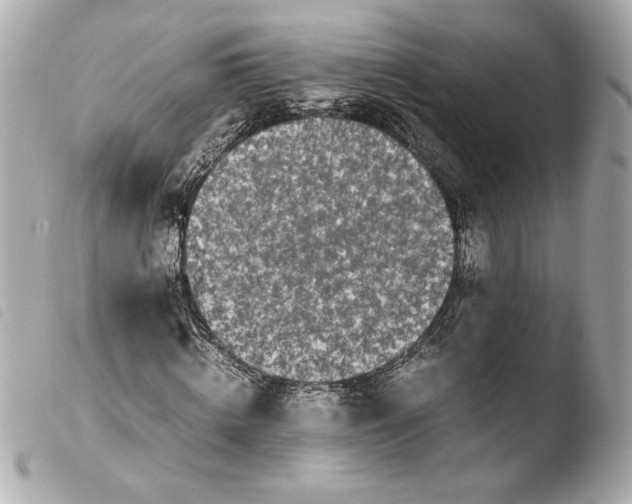 X0000103940820200810031320