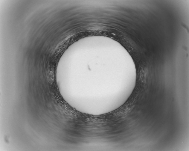 X0000103940821200810031320