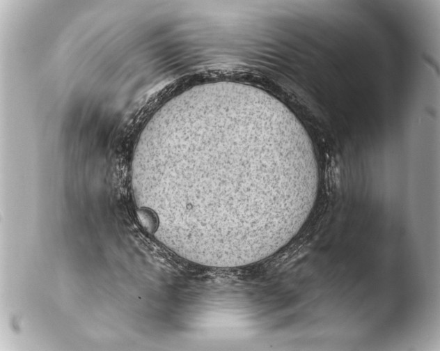 X0000103940822200810031320