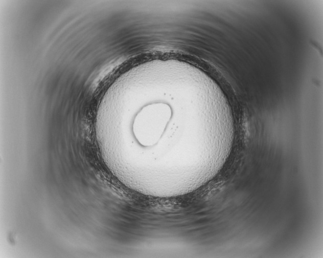 X0000103940823200810031320