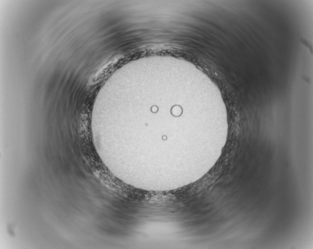 X0000103940824200810031320