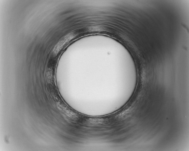 X0000103940825200810031320