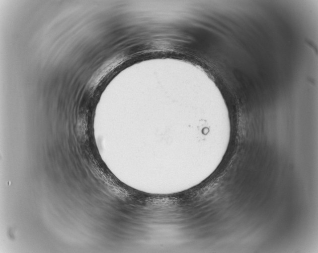 X0000103940826200810031320