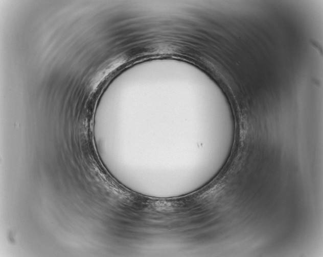 X0000103940827200810031320