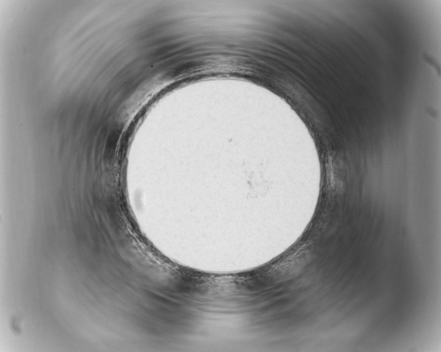 X0000103940828200810031320