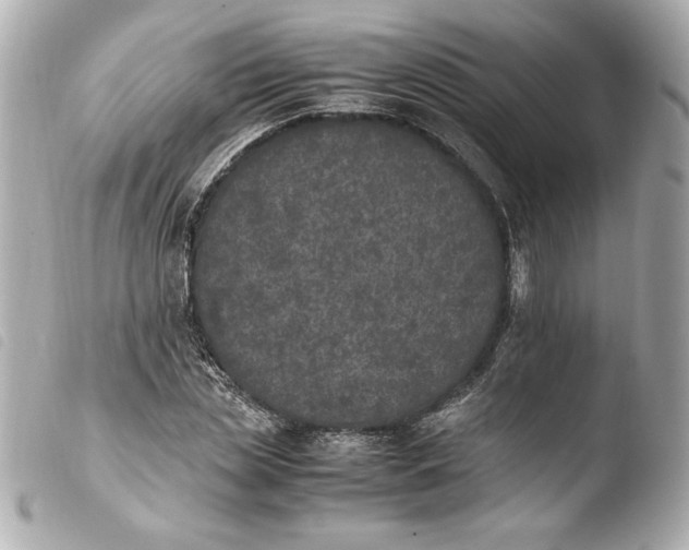 X0000103940829200810031320