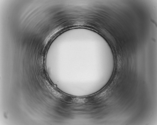 X0000103940831200810031320