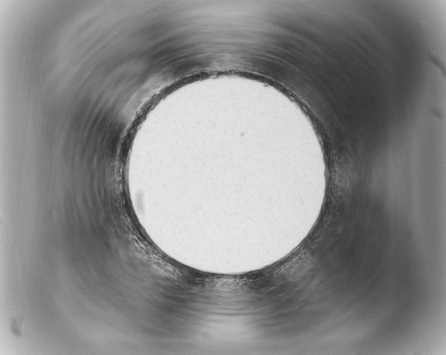 X0000103940832200810031320