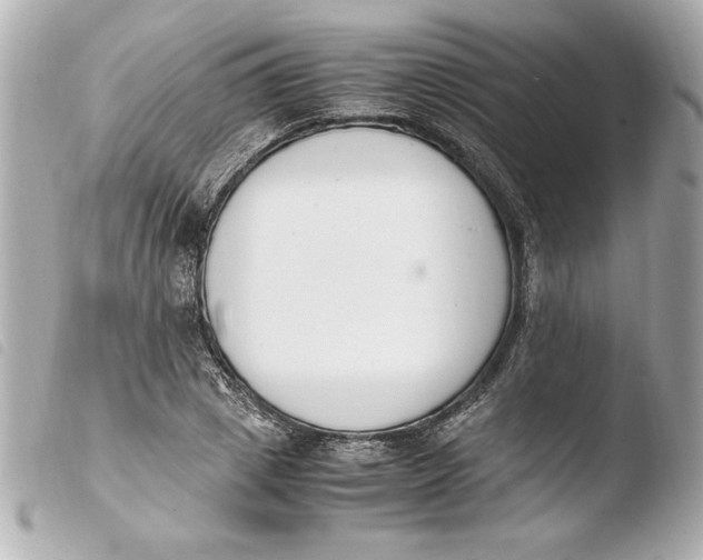 X0000103940833200810031320