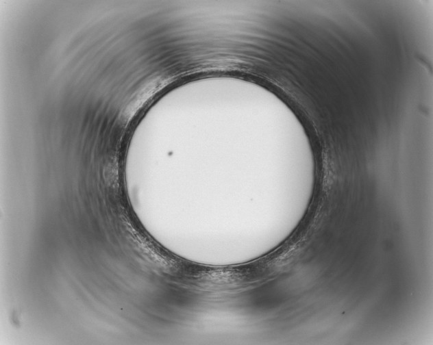 X0000103940834200810031320