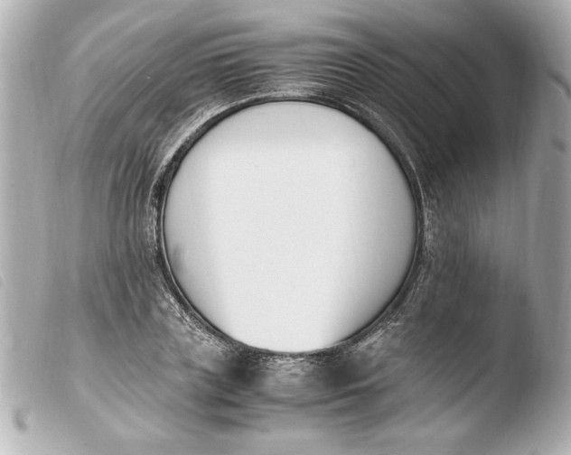 X0000103940835200810031320