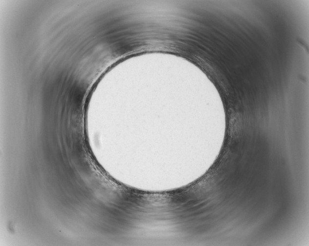 X0000103940836200810031320