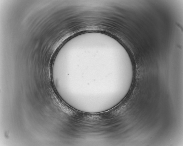 X0000103940837200810031320