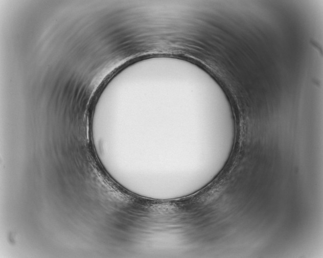 X0000103940838200810031320