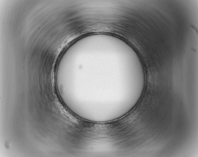 X0000103940840200810031320