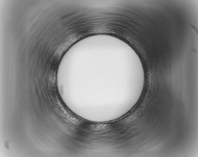 X0000103940841200810031320