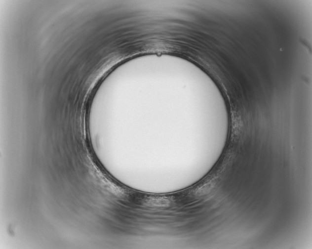 X0000103940843200810031320