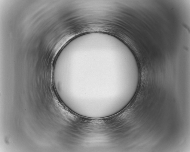 X0000103940844200810031320