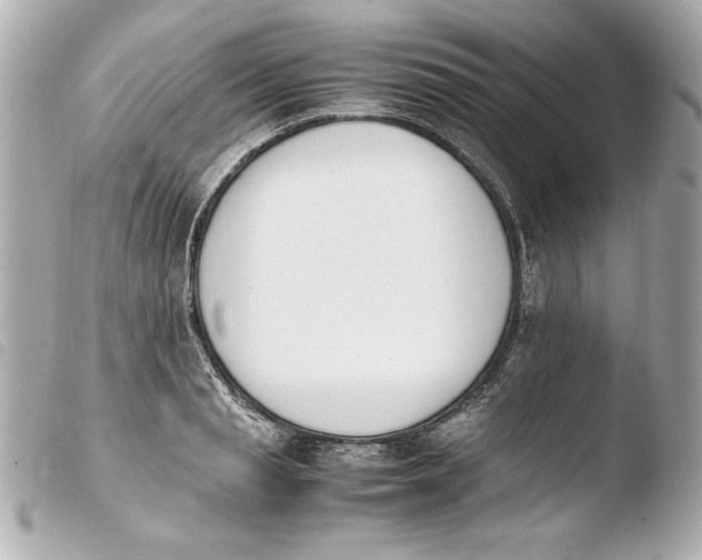 X0000103940845200810031320