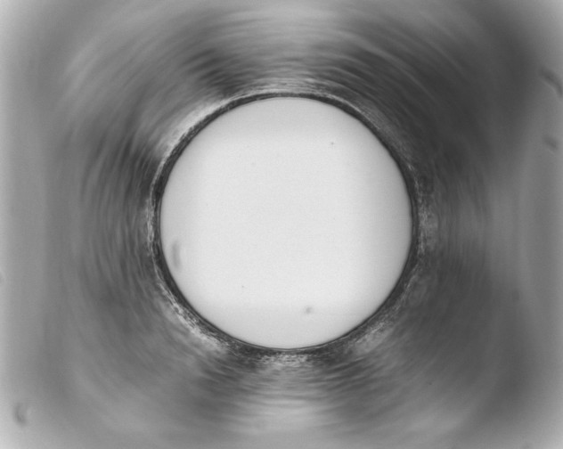 X0000103940846200810031320