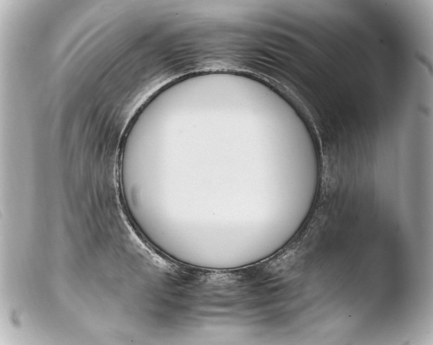 X0000103940847200810031320