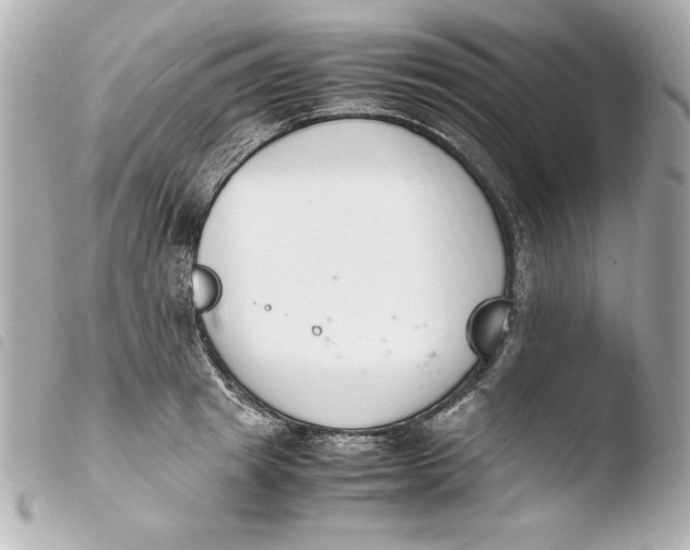 X0000103940849200810031320