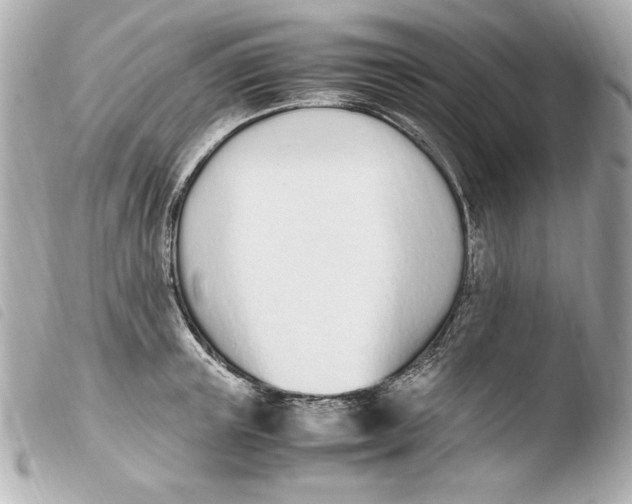 X0000103940851200810031320