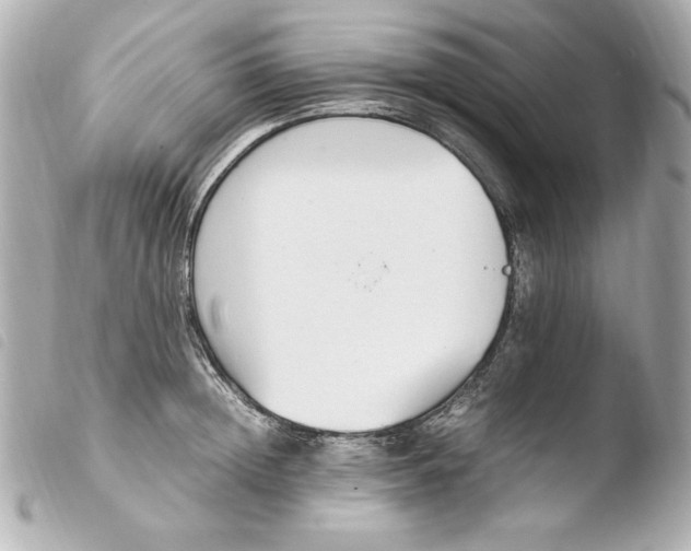 X0000103940852200810031320